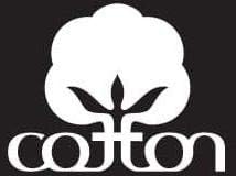 Linen Home 100% Cotton Percale Sheets Twin XL Size, Ivory, Deep Pocket, 3 Pieces Set - 1 Flat, 1 Deep Pocket Fitted Sheet and 1 Pillowcase, Crisp Cool and Strong Bed Linen