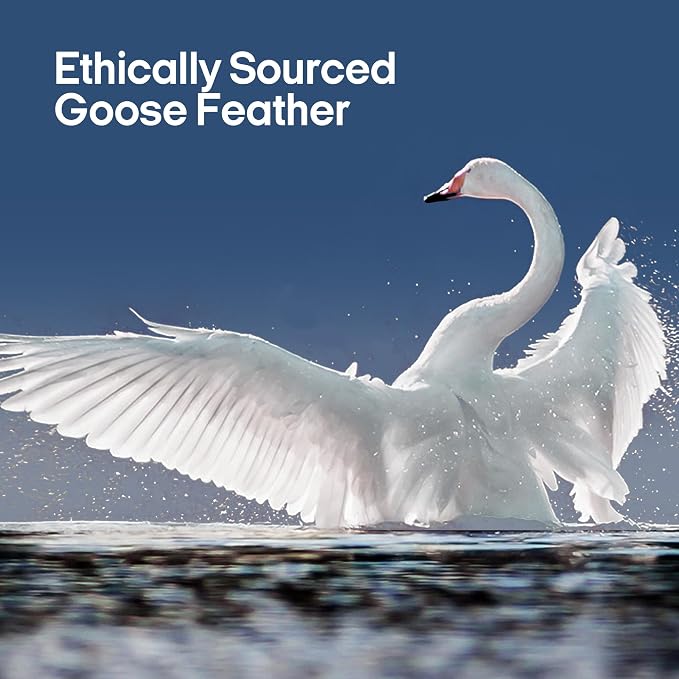 puredown® Goose Feathers and Down Pillows, Premium Luxury Pillows with 100% Cotton Cover, 2 Pack, Standard Size, 20x26 Inches