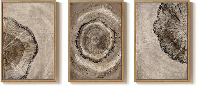 Large Framed Vintage Neutral Tree Ring Wall Art for Living Room, 24x36 In | Modern, Minimalist, Rustic, Nature, Wood grain pictures, Bedroom decor, Hallway art, Office, Ready to hang, Wood frame