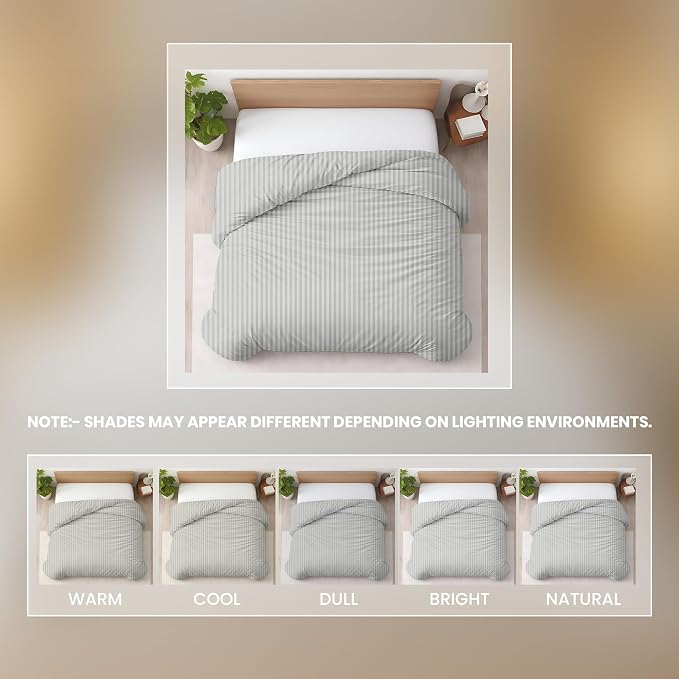 1 Pc Queen Size Duvet Cover Only -100% Egyptian Cotton 600 TC Ultra Soft Premium Durable Comforter Cover Zipper Closure & Corner Ties (Striped Silver, Queen/Full 90" X 90")