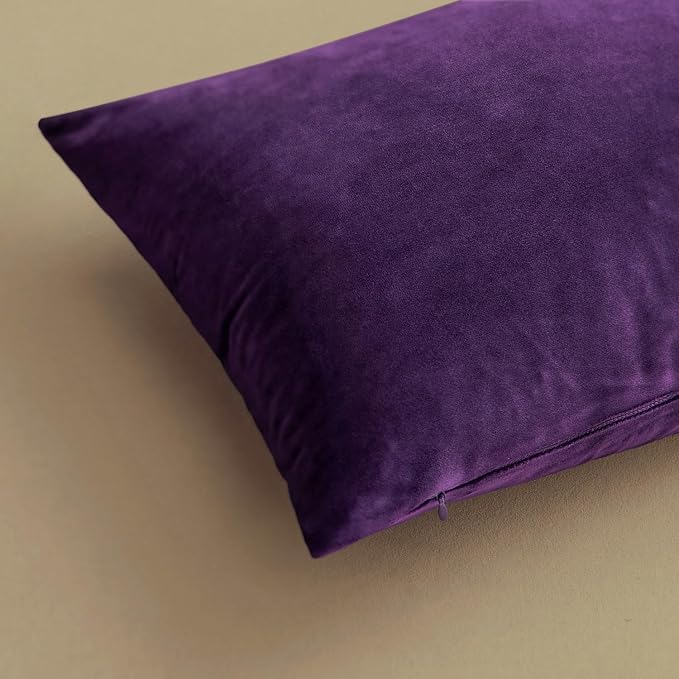 MIULEE Velvet Throw Pillow Covers 20x20 Inch Pack of 2 Eggplant Purple | Soft Solid Decorative Pillow Covers, Modern Luxury Home Decor, for Couch Chair Sofa Bedroom Livingroom