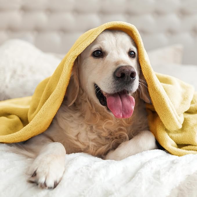 BEDELITE Fleece Blanket Soft Plush Throw for Couch Cream Yellow 50"x60" | Ultra Soft Fleece, Plush Microfiber, Lightweight Warmth, All Season Comfort, Fade Resistant, Machine Washable, Couch Sofa Bed
