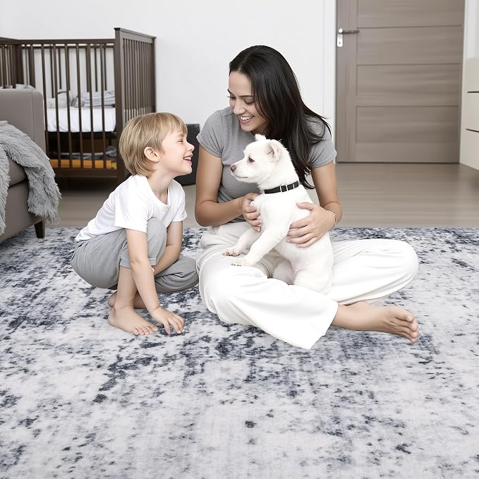 Area Rug Living Room: 3x5 Modern Washable Indoor Soft Carpet Grey | For Hallway, Bedroom, Kitchen, Laundry, Bathroom,Door Mat,Modern Abstract,Machine washable,Non-Slip,Stain Resistant,Indoor