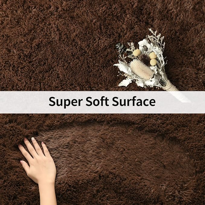 Soft Modern Indoor Large Shaggy Rug for Bedroom Livingroom Dorm Kids Room Home Decorative, Non-Slip Plush Fluffy Furry Fur Area Rugs Comfy Nursery Accent Floor Carpet 3 X 5 Feet, Brown