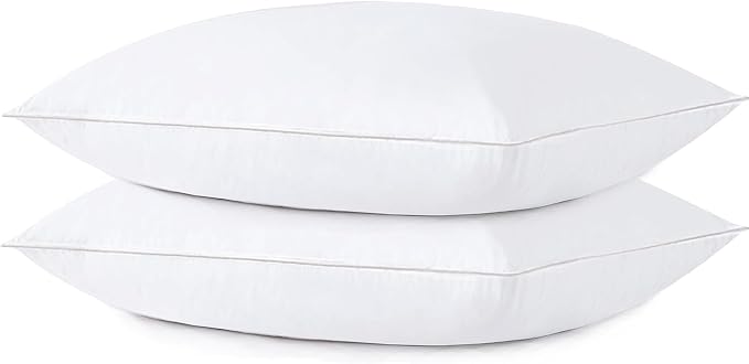 Acteb Flat Thin Pillows Queen Size Set of 2 Pack Bed Basic Sleeping Pillow for Stomach Sleeper 20x30 Inches