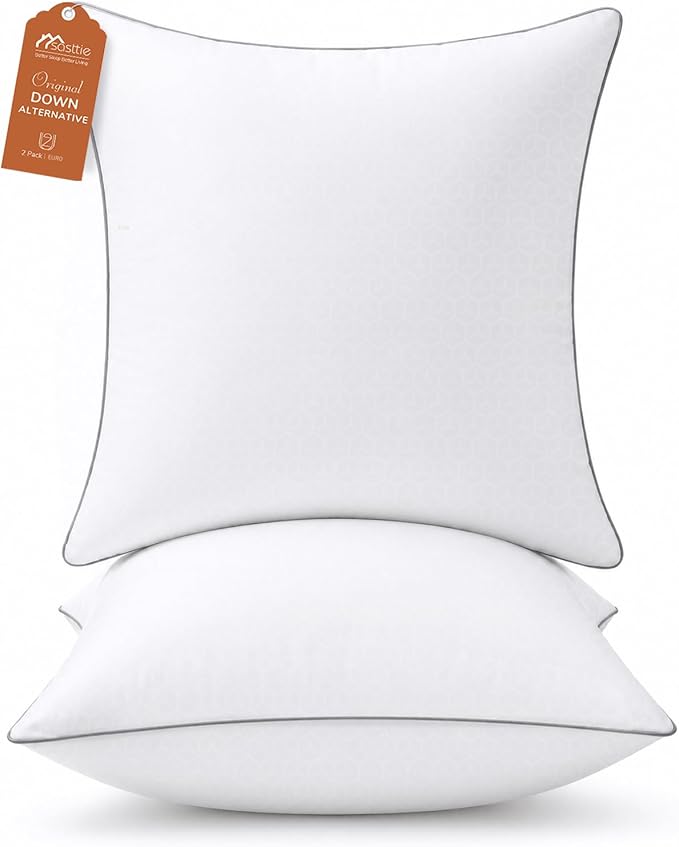 Sasttie 20x20 Throw Pillow Inserts, Square Pillows for Couch, Bed, Living Room Decor - Oeko-Tex Certified Down Alternative Plump Filling - Hotel Quality and Machine Washable, 2 Pack