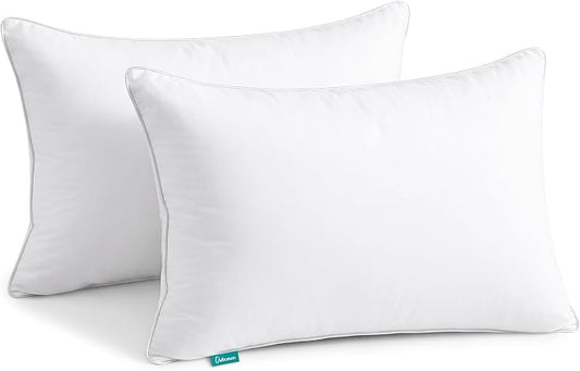 Oubonun 20"x26" Decorative Bed Pillow 2 Pack,100% Cotton Cover Living Room