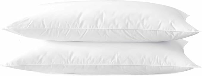 Acteb Ultra Thin Flat Soft Bed Pillows Queen Size Set of 2 Pack for Sleeping 20"x30", Hypoallergenic Skin Friendly Machine Washable