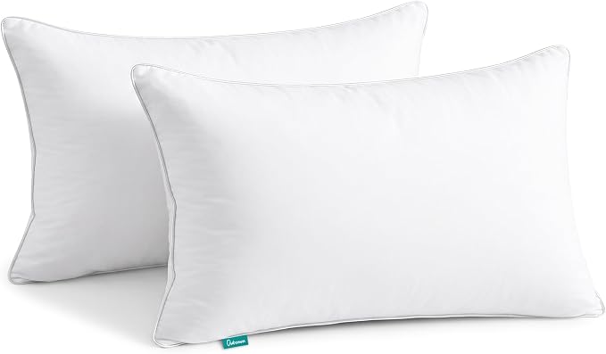Oubonun 20"x30" Decorative Bed Pillow 2 Pack,100% Cotton Cover Living Room