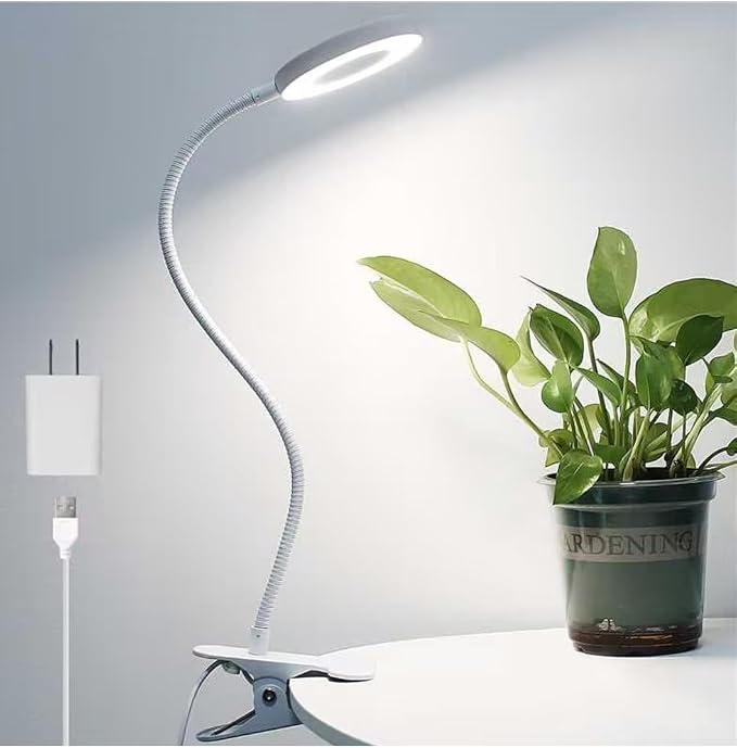 Woputne Desk Lamp Clip on Desk Reading Lights for Books in Bed (White) | With 5V 2A Adapter, 10 Dimmable Brightness 3 Modes, Clip on Light for Reading Home Office,Bed Headboard, Craft