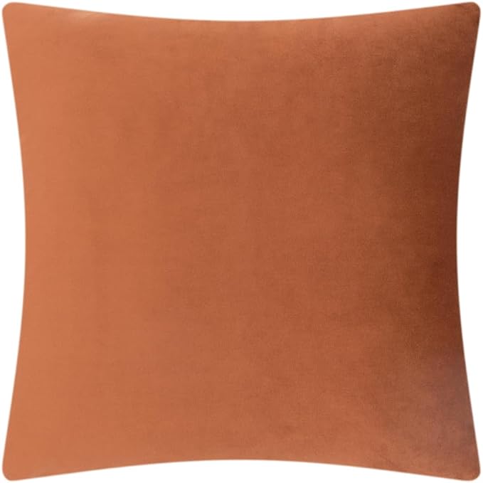 OiseauVoler 3D Flower Decorative Throw Pillow Covers for Couch 18x18 Inch | Vintage Floral Handmade Pillowcases for Living Room Washable With Zipper Soft Velvet Pet Hair Resistant Rust Terracotta