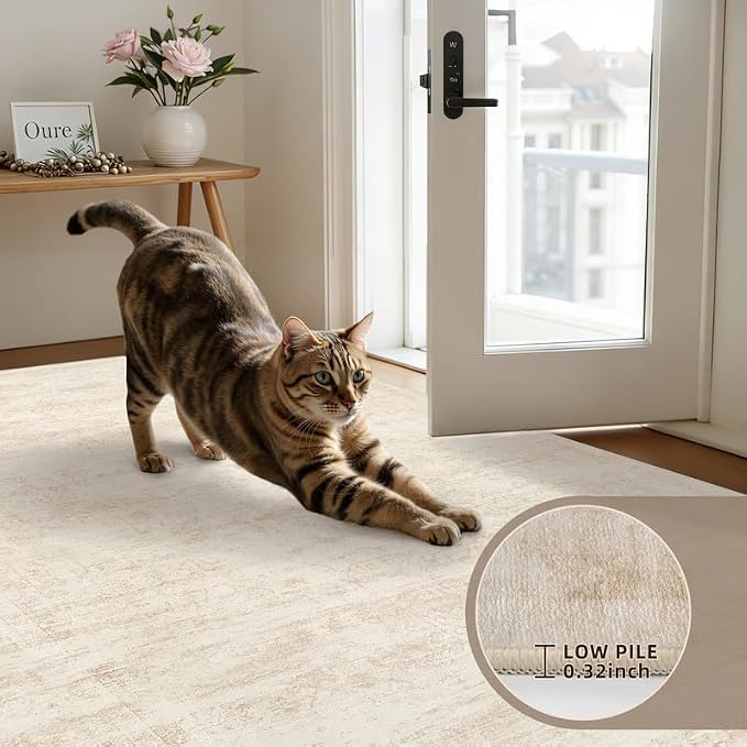 Round Area Rug Living Room: 8ft Washable Carpet Retro Beige | Vintage Boho Circle Soft Large Circular Carpet Bedroom Nursery Neutral Dining Room Indoor Decor Floor Non-Slip Under Table