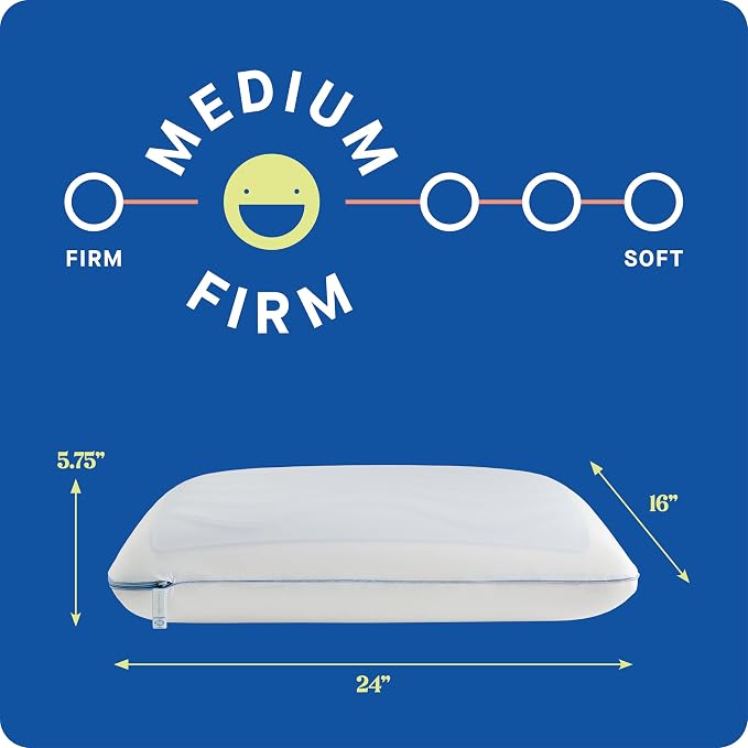 Sealy Dreamlife US Standard Size Memory Foam Cooling Pillow with SealyChill Cooling Gel, Removable Machine-Washable Cover, Made in the USA (2 Pack)