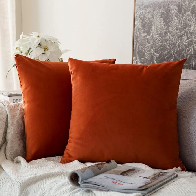 MIULEE Velvet Fall Throw Pillow Covers 14x14 Inch Pack of 2 Burnt Orange | Soft Solid Small Decorative Pillow Covers, Modern Luxury Home Decor, for Couch Chair Sofa Bedroom Livingroom Car