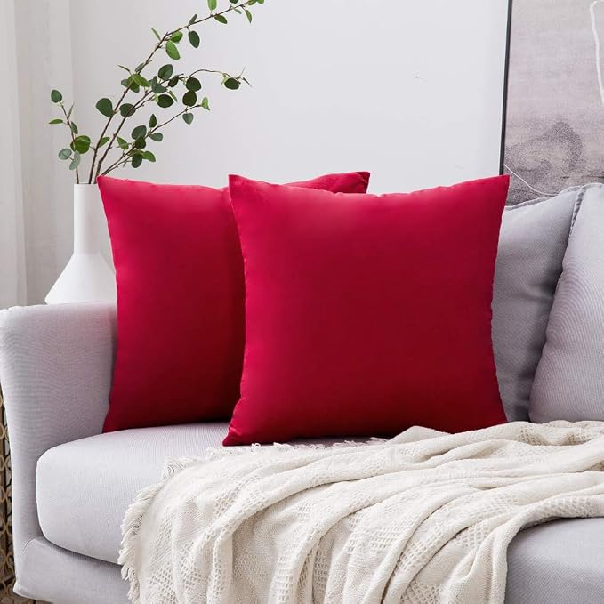 MIULEE 24x24 Inch Pack of 2 Euro Velvet Throw Pillow Covers Red | Soft Solid Decorative Euro Sham, Modern Luxury Home Decor, for King Bed Sofa Couch Bedroom Livingroom