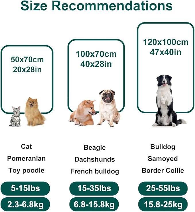 Onarway Dog Blanket Washable for Puppy: 4 Packs Dog Blankets 40”x28” | Fluffy Soft Small Throw for Cat Puppy Kitten Dogs - Fleece Pet Blankets for Bed Sofa Car and Indoor - Lake Green and Purple