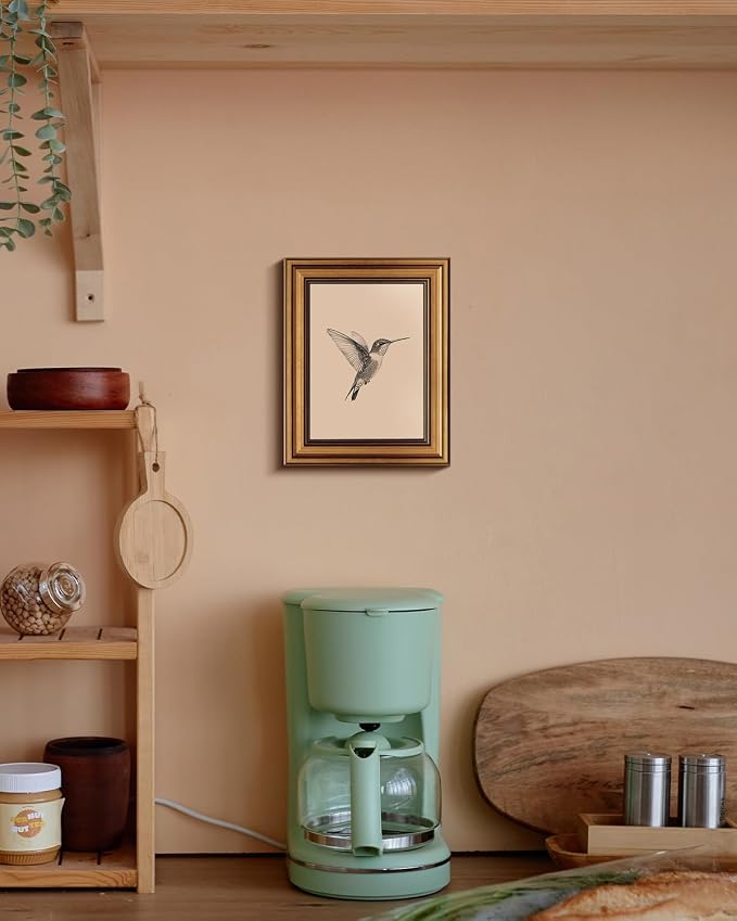 VIYYIEA Vintage Gold Framed Wall Art – Hummingbird Sketch, 8x10 IN | Cute yet exquisite, Affordable & High quality, Bathroom wall decor