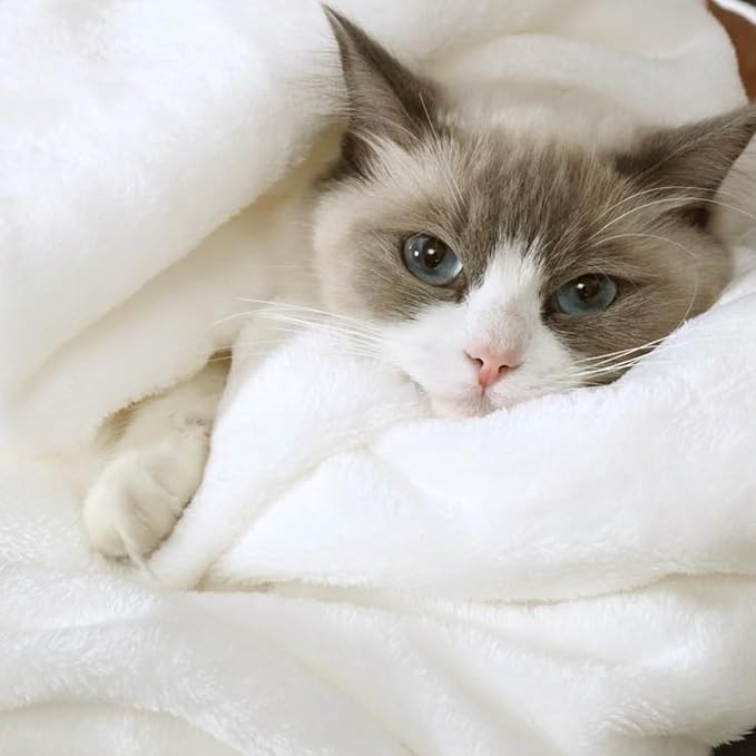Hansleep Throw White Fleece Blanket, Soft Flannel Bed Blanket | Fuzzy Cozy Blanket 50x60 Inches, Multi-use for Bed, Sofa, Couch, Travel, Camping, All Season Warm Lightweight Cover