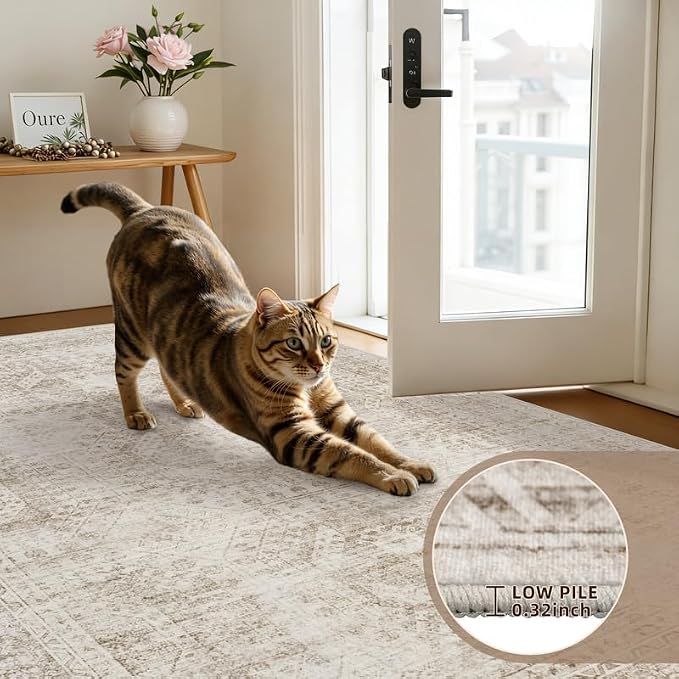 4x6 Area Rugs Living Room: Bedroom Neutral Washable Carpet Brown | Vintage Boho Soft Small Indoor Decor Floor Non-Slip Low Pile Neutral Farmhouse Entryway Laundry Bathroom Bedroom Beside Rugs