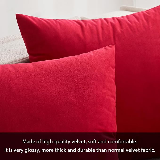 MIULEE 24x24 Inch Pack of 2 Euro Velvet Throw Pillow Covers Red | Soft Solid Decorative Euro Sham, Modern Luxury Home Decor, for King Bed Sofa Couch Bedroom Livingroom