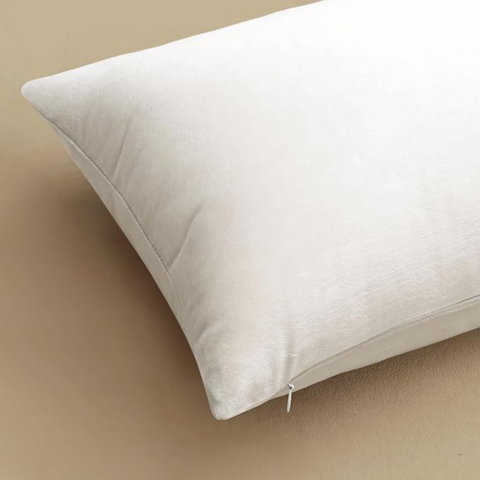 MIULEE Velvet Throw Pillow Covers 16x16 Inch Pack of 2 Pure White | Soft Solid Small Decorative Pillow Covers, Modern Luxury Home Decor, for Couch Chair Sofa Bedroom Livingroom Car