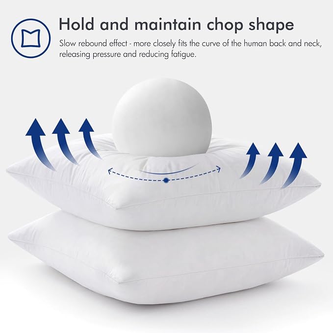 MIULEE 24x24 Euro Pillow Inserts, Set of 2 Feather Down Throw Pillows | Choppable and No Smell, Double-Layer Down-Proof Cotton Cover, Decorative Pillows for Couch Sofa and Bed