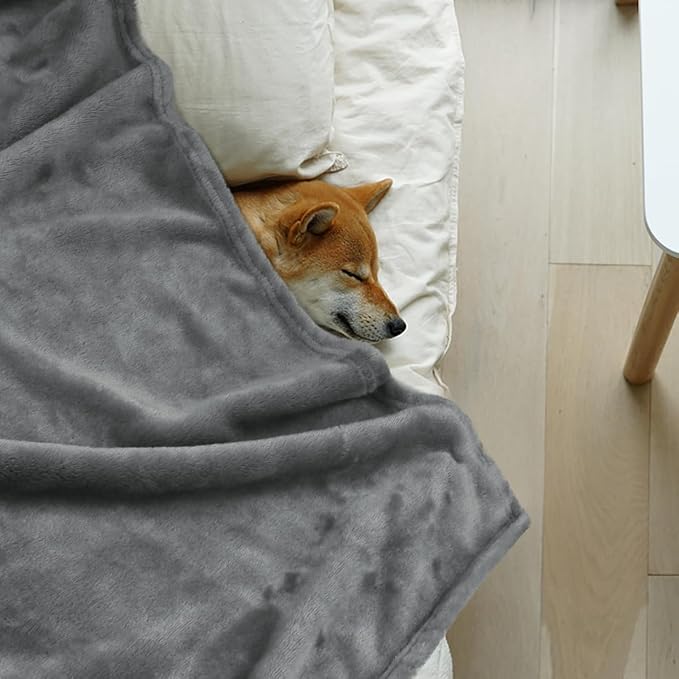 Onarway Dog Blanket Washable for Bed: 2 Packs Dog Blankets 59”x47” | Fluffy Soft Large Throw for Cat Puppy Kitten Dogs - Fleece Pet Blankets for Crate Couch Car and Indoor - Grey