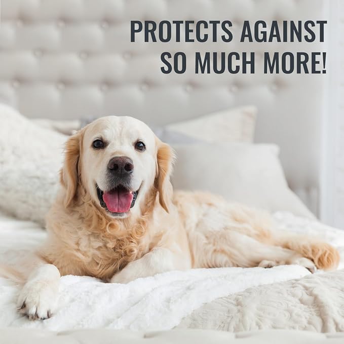 DMI Waterproof Mattress Protector and Cover, Contoured Fitted Sheet Fit, King