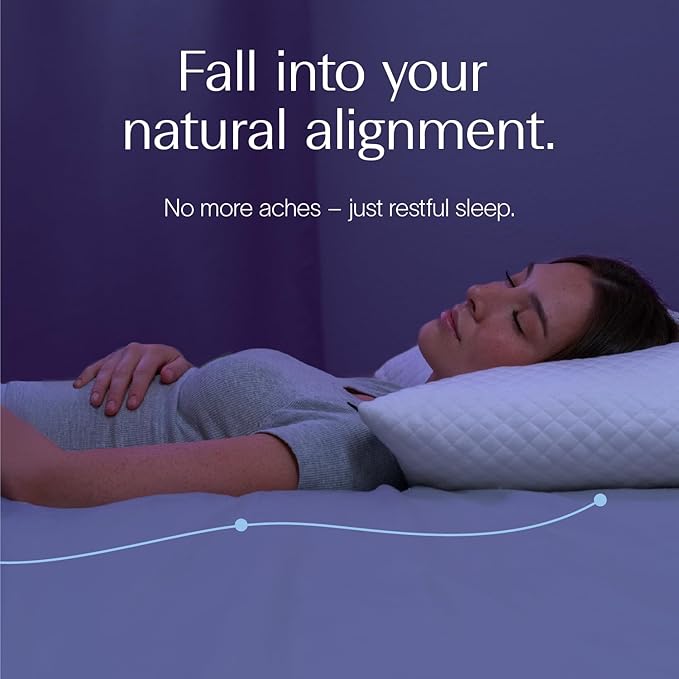 DreamyBlue Signature Adjustable Shredded Memory Foam Pillow Queen | CertiPUR-US Certified | Bamboo Rayon Cover | Side Back Stomach Sleepers | Washable | Neutral Spinal Alignment
