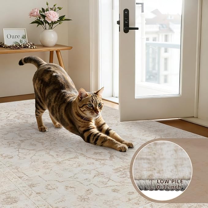 10x12 Area Rugs Living Room: Bedroom Washable Carpet Warm Beige | Vintage Boho Soft Small Indoor Decor Floor Non-Slip Low Pile Neutral Farmhouse Entryway Laundry Bathroom Bedroom Beside Rugs