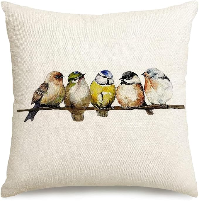 RABUSOFA Spring Summer Pillows Decorative Throw Pillows 20x20,Large Outdoor Bird Pillow Covers,Single Watercolor Hand-Painted Oil Painting Rustic Birds Square Pillow Cases for Couch Sofa
