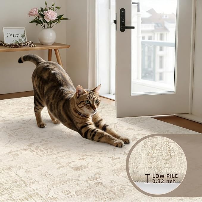 Round Area Rug Living Room: 6ft Washable Carpet Beige/Brown | Vintage Boho Circle Soft Large Circular Carpet Bedroom Nursery Neutral Dining Room Indoor Decor Floor Non-Slip Under Table