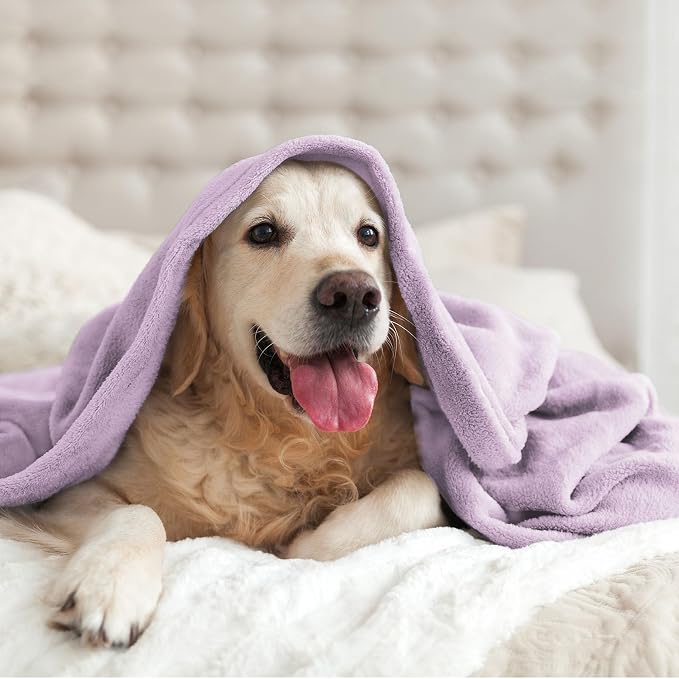 BEDELITE Fleece Blanket Soft Plush King Size Bed Blanket Lilac 108"x90" | Ultra Soft Fleece, Plush Microfiber, Lightweight Warmth, All Season Comfort, Fade Resistant, Machine Washable