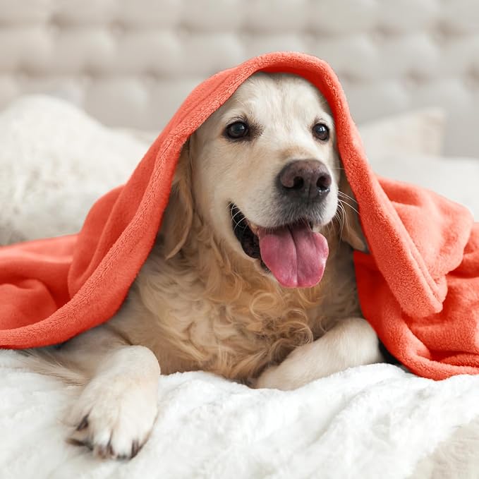 BEDELITE Fleece Blanket Soft Plush Twin Size Blanket Coral Red 60"x80" | Ultra Soft Fleece, Plush Microfiber, Lightweight Warmth, All Season Comfort, Fade Resistant, Machine Washable, Couch Sofa Bed