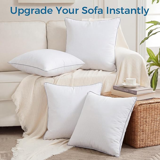 Sasttie 20x20 Throw Pillow Inserts, Square Pillows for Couch, Bed, Living Room Decor - Oeko-Tex Certified Down Alternative Plump Filling - Hotel Quality and Machine Washable, 2 Pack