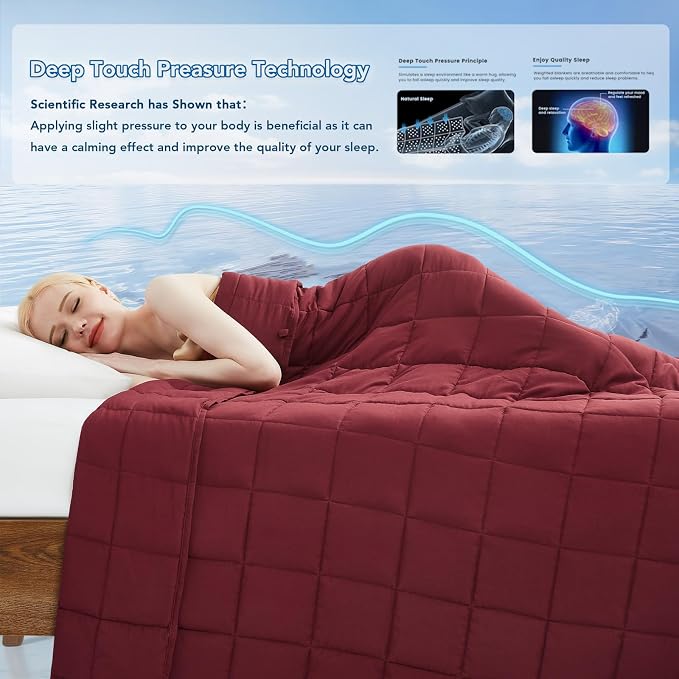 Weighted Blanket for Adults (25 lbs, 60" x 80") Queen Size Soft Cooling Heavy Blanket Sleeping, Apply to 240-260 lbs Body, Thick Breathable Blanket with Glass Bead, Easy Care