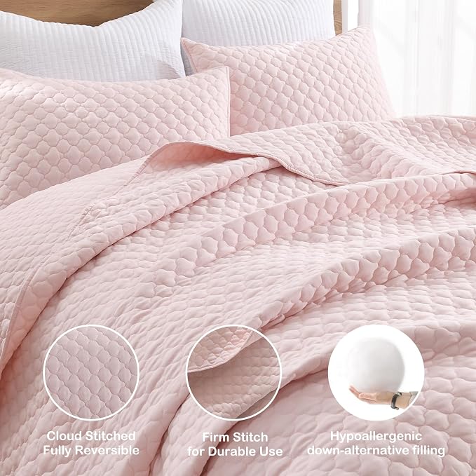 HORIMOTE HOME Quilt Queen Size Light Pink, Lightweight Quilts for Summer Ultra-Soft Microfiber Modern Style Quilted Clouds Pattern Bedspread Quit Set 3 Pieces(1 Quilt and 2 Pillow Shams)