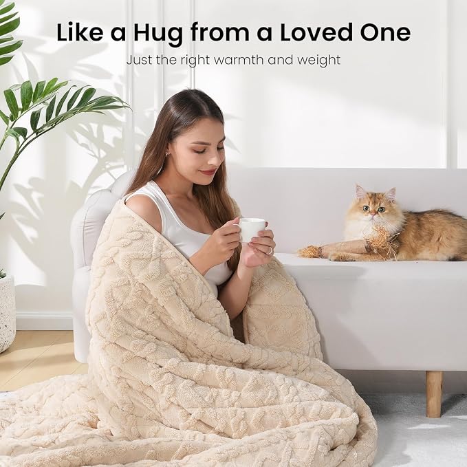 Drewin Weighted Blanket for Adults 48" x 72" 12lbs Fuzzy Blankets Beige | Stress Relief & Better Sleep,Soft Jacquard Sherpa Fleece Heavy Blanket Queen Size, Machine Washable,for Napping & Relaxing