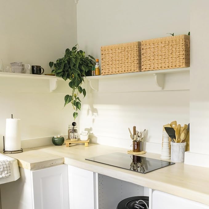 GRANNY SAYS Wicker Storage Baskets, Waterproof Woven Baskets, 2-Pack | Plastic Woven Baskets for Shelves, Wicker Baskets with Handles, Wicker Storage Baskets for Shelves, Woven Baskets for Storage