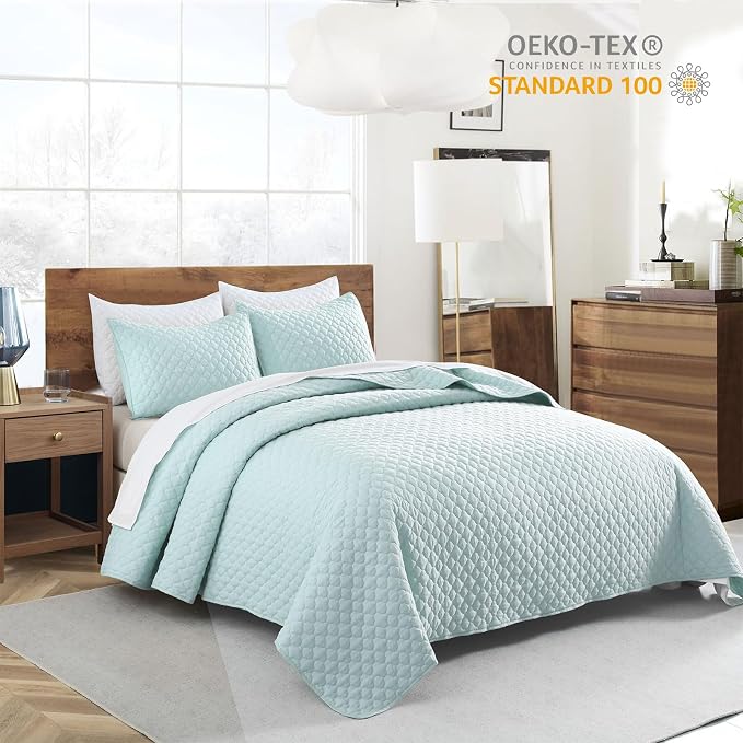 HORIMOTE HOME Quilt Queen Size Aqua Blue, Lightweight Quilt for Summer Ultra-Soft Microfiber Modern Style Quilted Clouds Pattern Bedspread Quit Set 3 Pieces