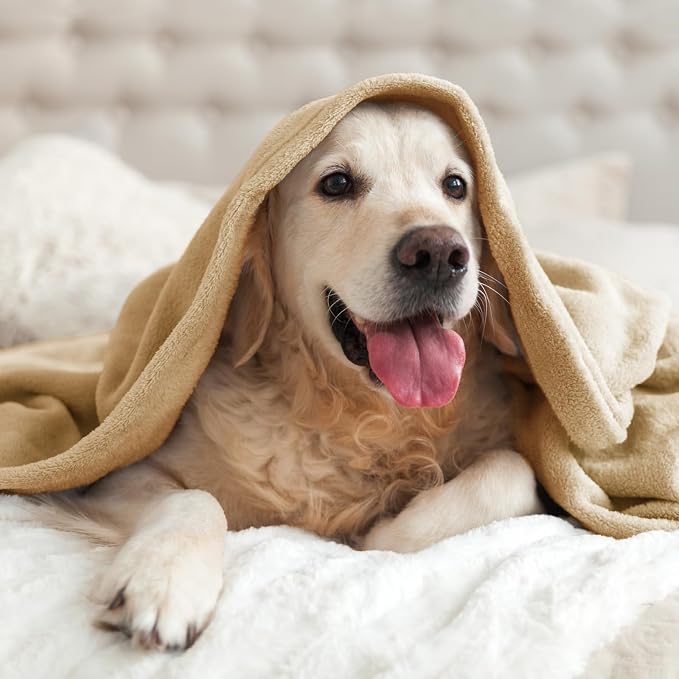 BEDELITE Fleece Blanket Soft Plush King Bed Blanket Light Camel 108"x90" | Ultra Soft Fleece, Plush Microfiber, Lightweight Warmth, All Season Comfort, Fade Resistant, Machine Washable