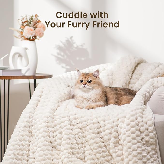 Drewin Weighted Blanket 20lbs for Adults Deep Sleep and Relax,Cream White | Soft Jacquard Sherpa Heavy Blankets 60" x 80" with Glass Beads，Cozy Fleece Throw Blankets for Bed and Couch，Machine Washable