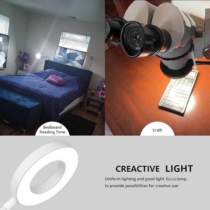Woputne Desk Lamp Clip on Desk Reading Lights for Books in Bed (White) | With 5V 2A Adapter, 10 Dimmable Brightness 3 Modes, Clip on Light for Reading Home Office,Bed Headboard, Craft
