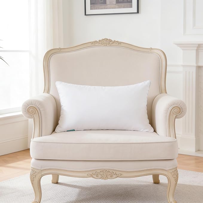 Oubonun 20"x26" Decorative Bed Pillow 2 Pack,100% Cotton Cover Living Room