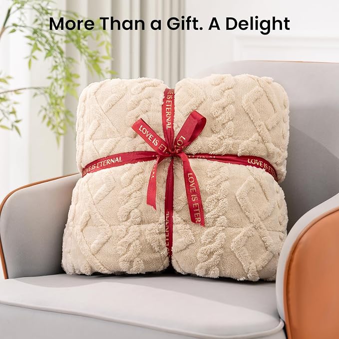 Drewin Weighted Blanket Queen Size 15lbs for Adults, Beige, 60 x 80 inches | Soft Jacquard Sherpa,Fluffy Cozy Sofa Throw Blankets for Sleep Natural and Calming,Machine Washable,Filled with Glass Beads