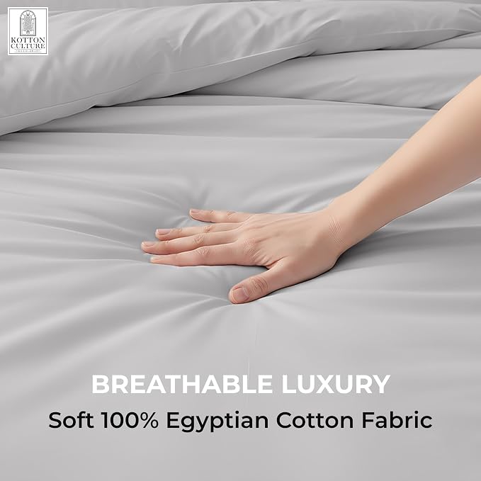 1 Pc Duvet Cover Queen Size/Full Size-100% Egyptian Cotton 600 Thread Count Ultra Soft Premium Durable Comforter Cover Zipper Closure & Corner Ties- (Silver, 90" X 90")