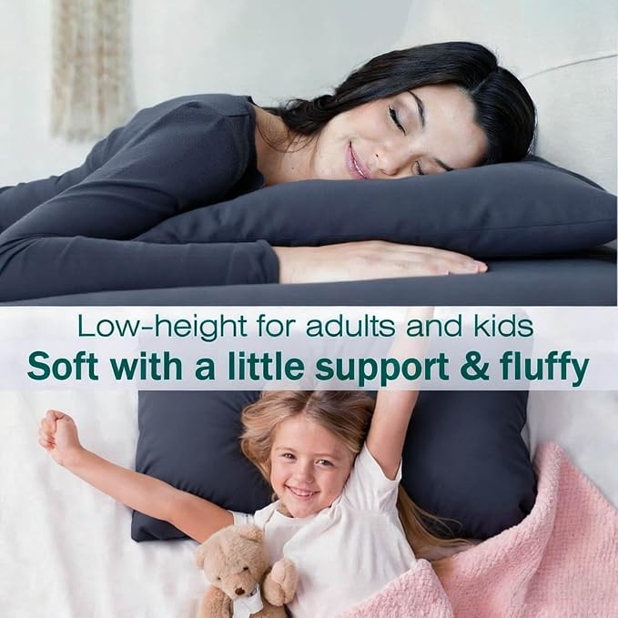 Flat Ultra Thin Bed Pillows Standard Size Pillow Set of 2 Extra Soft Down Alternative for Stomach Back Sleeper Dark Blue 20x26inches
