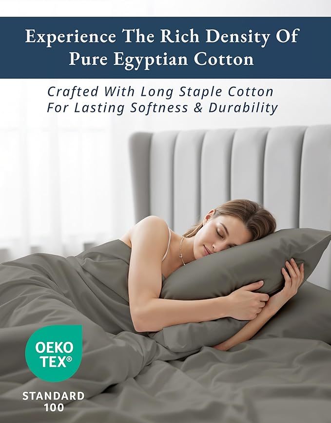 LANE LINEN Queen Sheet Set 100% Egyptian Cotton Sateen - Charcoal | Queen Bed Sheets - 4-Piece Set, For A Luxurious Night's Sleep, For A Silky Hotel-Style Bed, Styles A Master Bedroom