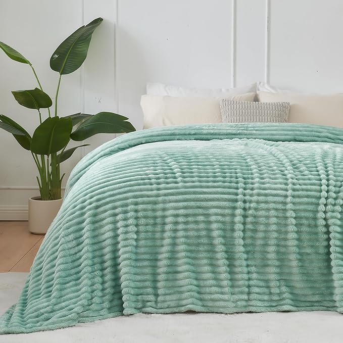 NEWCOSPLAY Fleece Ribbed Cozy Queen Blanket for Couch, Mint Green, 90"x90" | Premium Silky Flannel Blanket, Soft Lightweight Fluffy Throw Blanket for Bed Sofa Decor, Gift for All Season Use