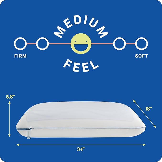 Sealy Dreamlife King Size Memory Foam Cooling Pillow with SealyChill Cooling Gel, Removable Machine-Washable Cover, Made in the USA, White